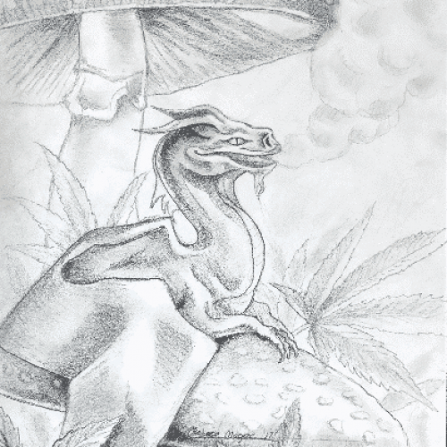 Tiny Dragon Sketch