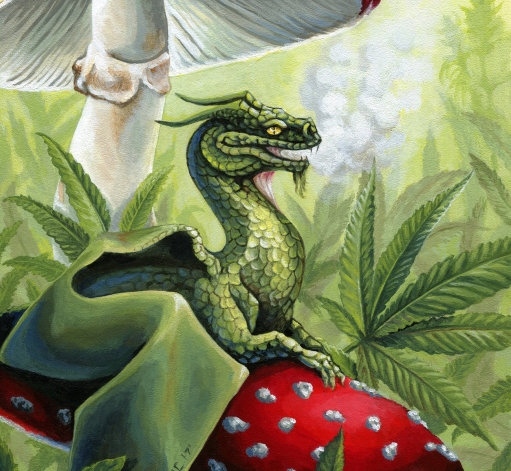 Mushrooms Art Collection Feature on Vango