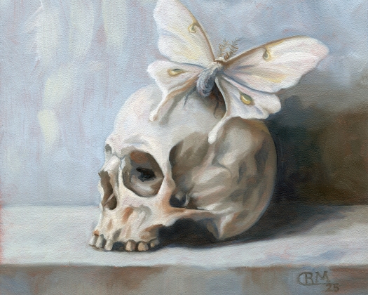 Moth and Bone: Study on White